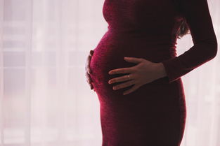 孕期守护神，全面解析孕妇产前检查的每一个关键步骤