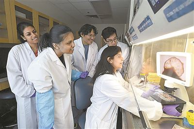 研究团队在计算机中进行模拟分析。图片来源：约翰斯·霍普金斯大学