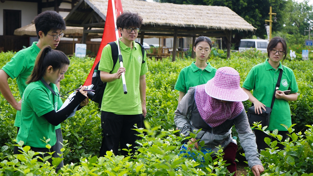 福建农林大学青马工程实践队在“三下乡”实践中书写教育科技人才融合新篇章