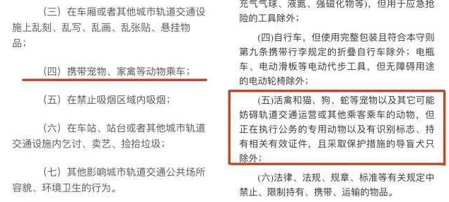 地铁禁带宠物！一乘客衣服内藏匿宠物狗进站被罚