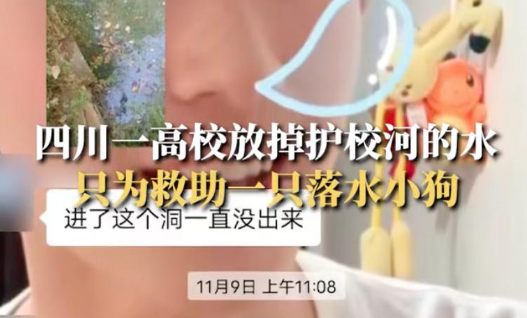 超赞！流浪狗掉进护校河里，师生保安齐心协力放掉河水，成功将狗狗救了出来.