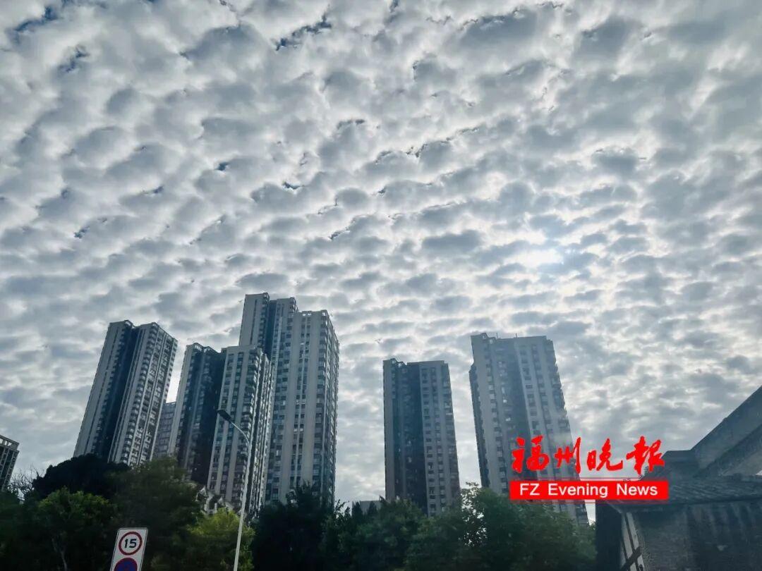 冰雹 ！大雨！强对流即将抵达福建！台风最新消息来了！