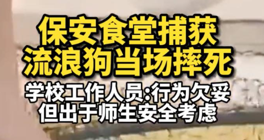 超赞！流浪狗掉进护校河里，师生保安齐心协力放掉河水，成功将狗狗救了出来.