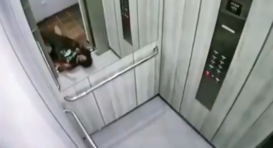 太凶残了！斗牛犬撕咬主人，场面太过血腥！网友：这谁还敢养......