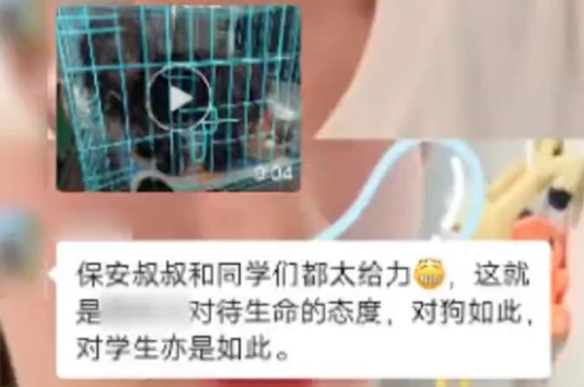 超赞！流浪狗掉进护校河里，师生保安齐心协力放掉河水，成功将狗狗救了出来.