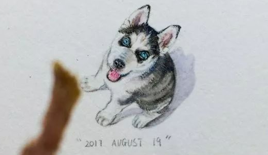 美术课老师教学生画哈士奇，一学生画出了“抽象派”，画风清奇