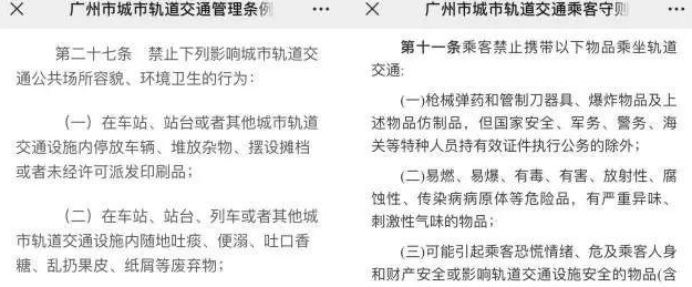 地铁禁带宠物！一乘客衣服内藏匿宠物狗进站被罚