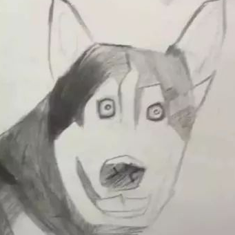 美术课老师教学生画哈士奇，一学生画出了“抽象派”，画风清奇