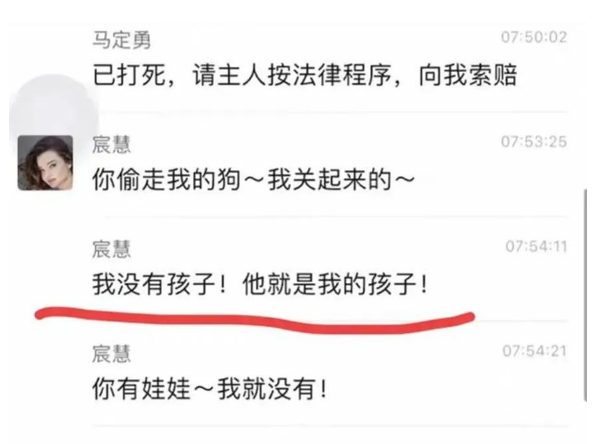 贵州柯基犬几次扑咬小孩，被其父亲打死。狗主人的这句话，让人深省