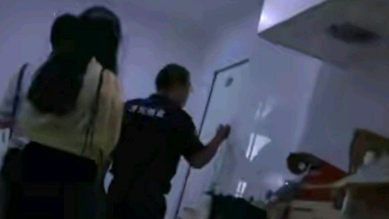 小伙把自家银猫交出去配种生下稀有金猫，说好的条件对方却变卦了