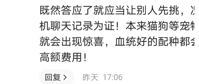 小伙把自家银猫交出去配种生下稀有金猫，说好的条件对方却变卦了