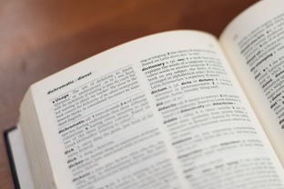探索知识的宝藏，50个广播稿中的教育与启发