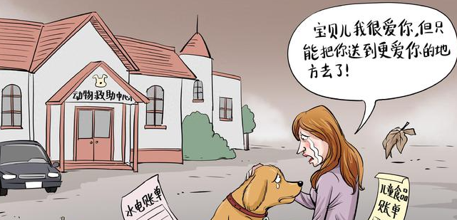 地主家也没有余粮啊！英国人正在遗弃宠物，这些宠物正在挨饿受冻