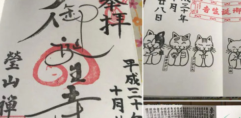 阿“咪”陀佛！日本一座有趣的寺院，竟然收养了近百只喵星人