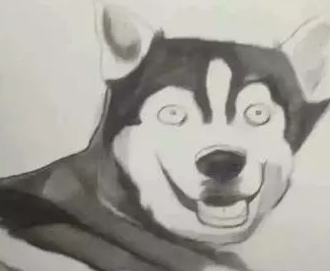美术课老师教学生画哈士奇，一学生画出了“抽象派”，画风清奇