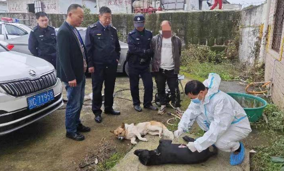 一年前的毒狗案牵出系列案：警方捣毁毒镖生产销售源头，又一毒狗嫌疑人被抓 
