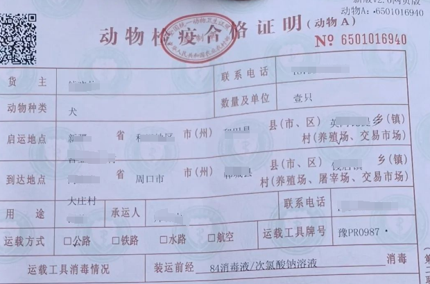 一张犬只检疫合格证引发的思考