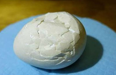 鹦鹉是一种濒临灭绝动物，但它寿命比较长，可以活九十五-120年