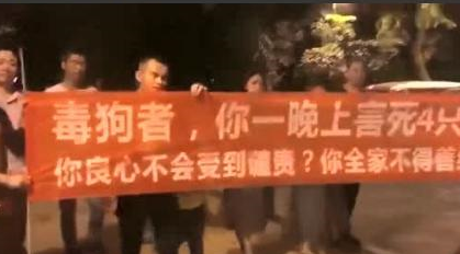 可以不爱，但请不要伤害，毒死宠物狗是要负法律责任的