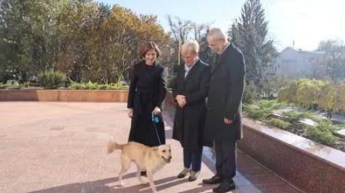 摩尔多瓦总统的狗把奥地利总统咬了 