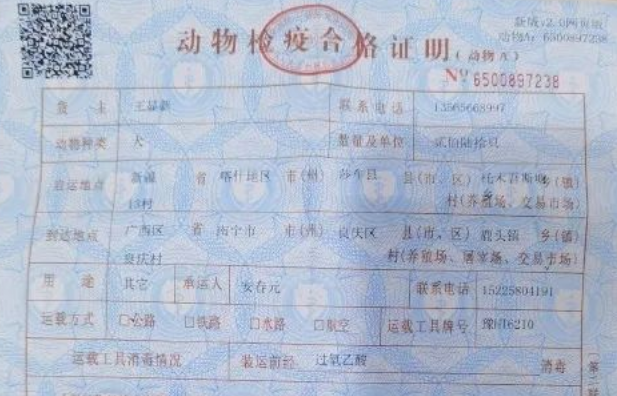 一张犬只检疫合格证引发的思考