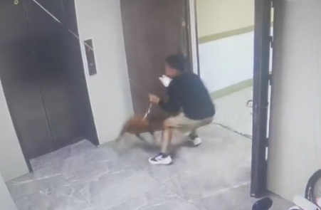 主人坐电梯狗却还在门外，眼见着狗被吊起，男生扔掉手机救下它！