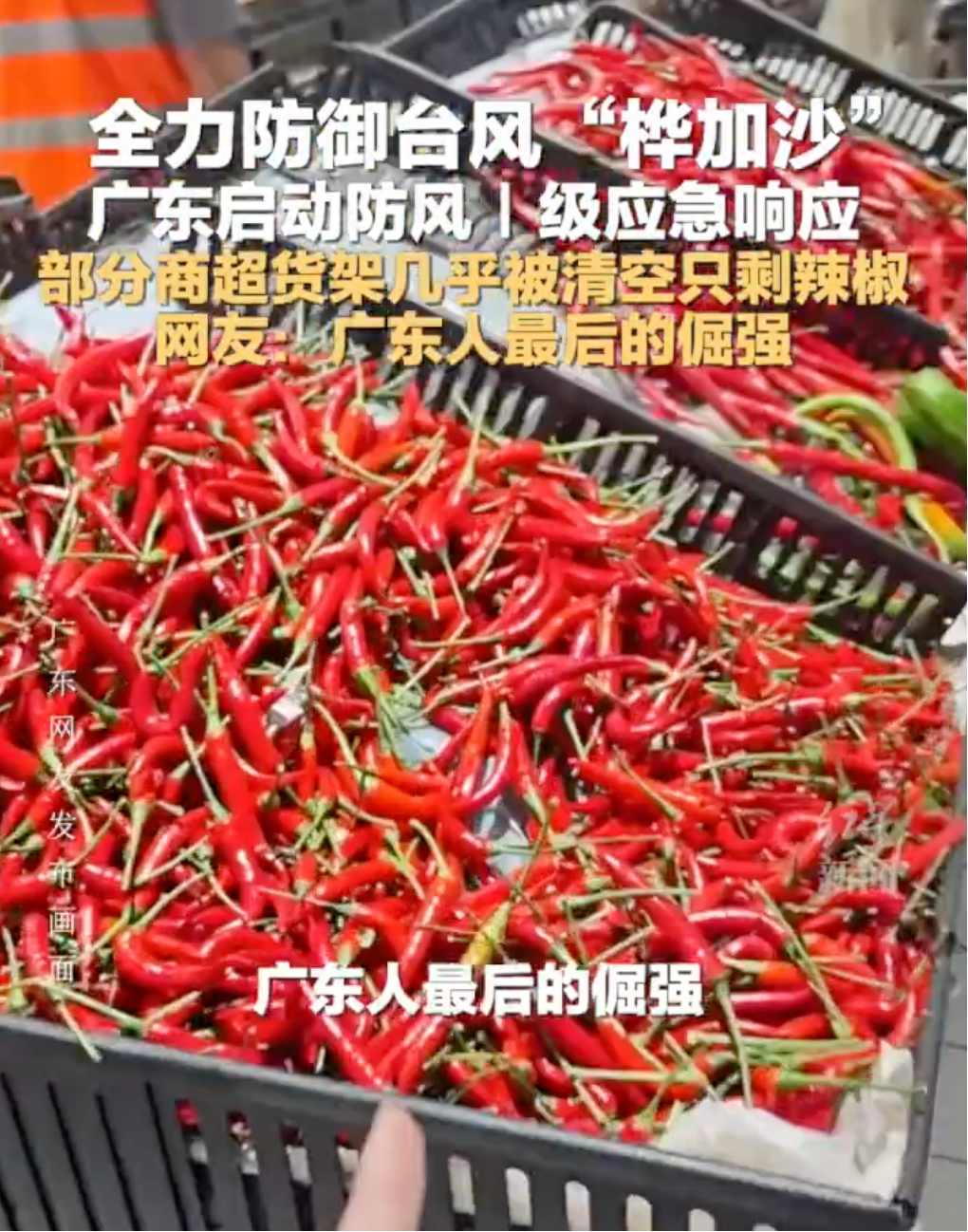 广州部分超市蔬菜被抢购，只剩辣椒！最新回应来了