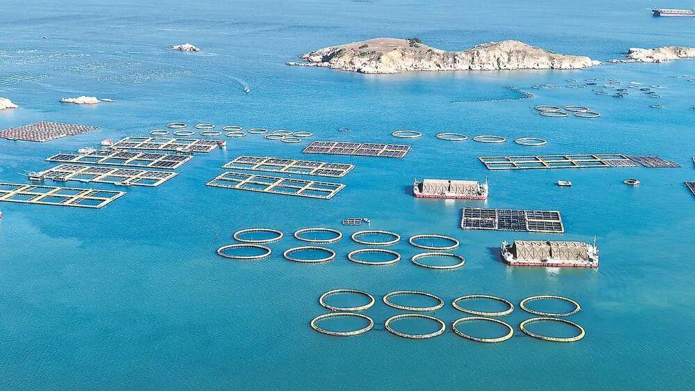 闽人智慧 | 从福船到海洋重器的蓝色传奇