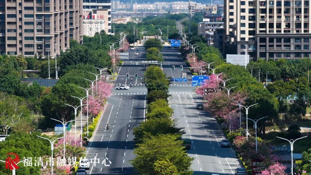 秋日限定！福州这条“粉色大道”，超美！