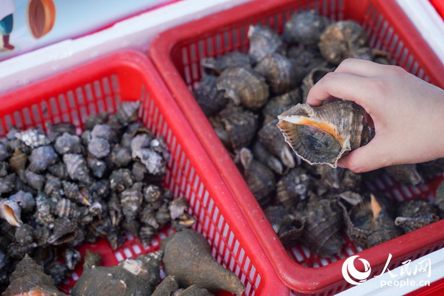 人民网探访福清“海味”农民丰收节：海岸边上卖渔获