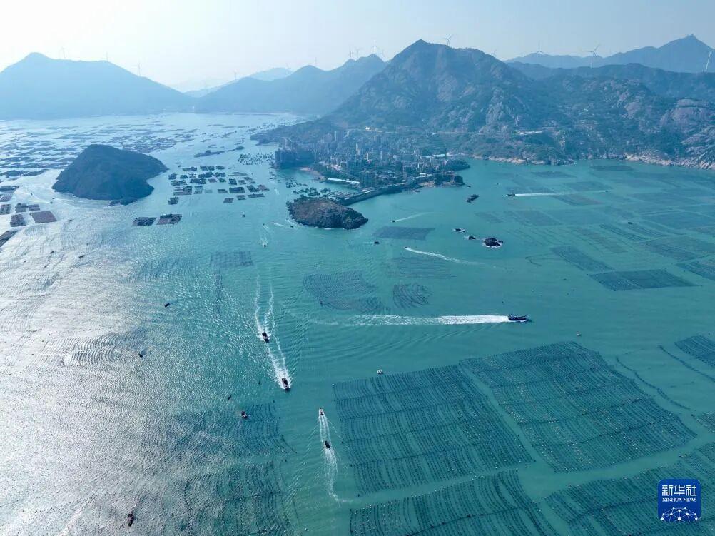 闽人智慧 | 原来，这就是全国“渔状元”的养成秘籍