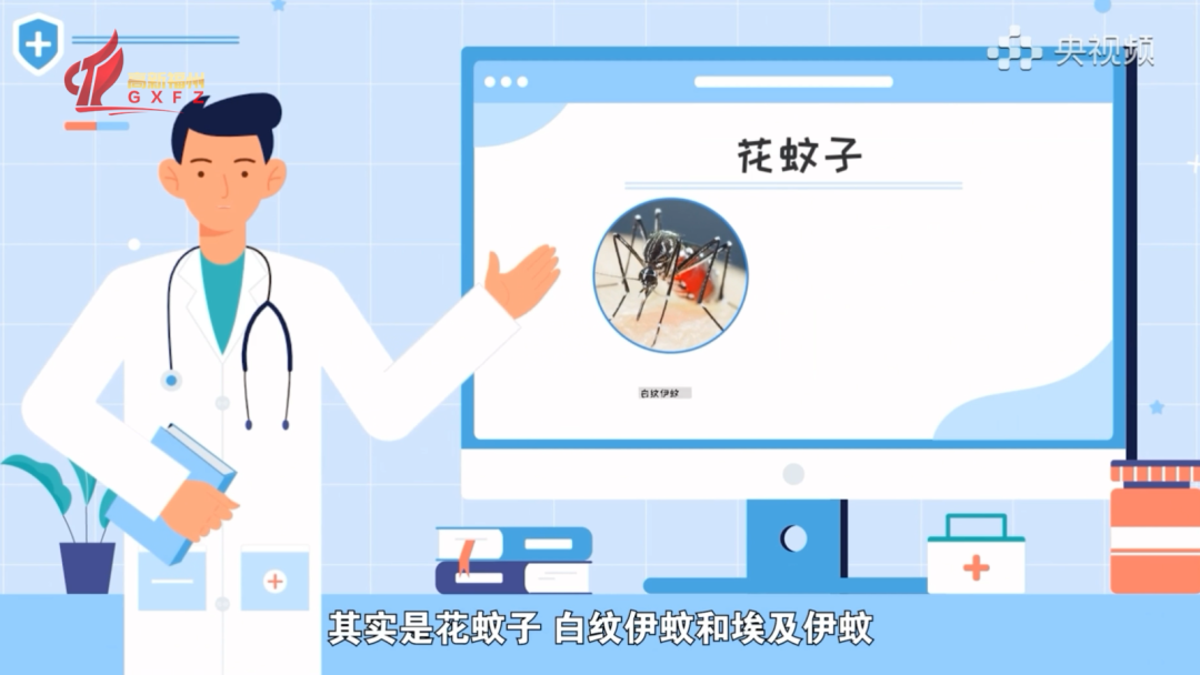 远离“基孔肯雅热”和“登革热”