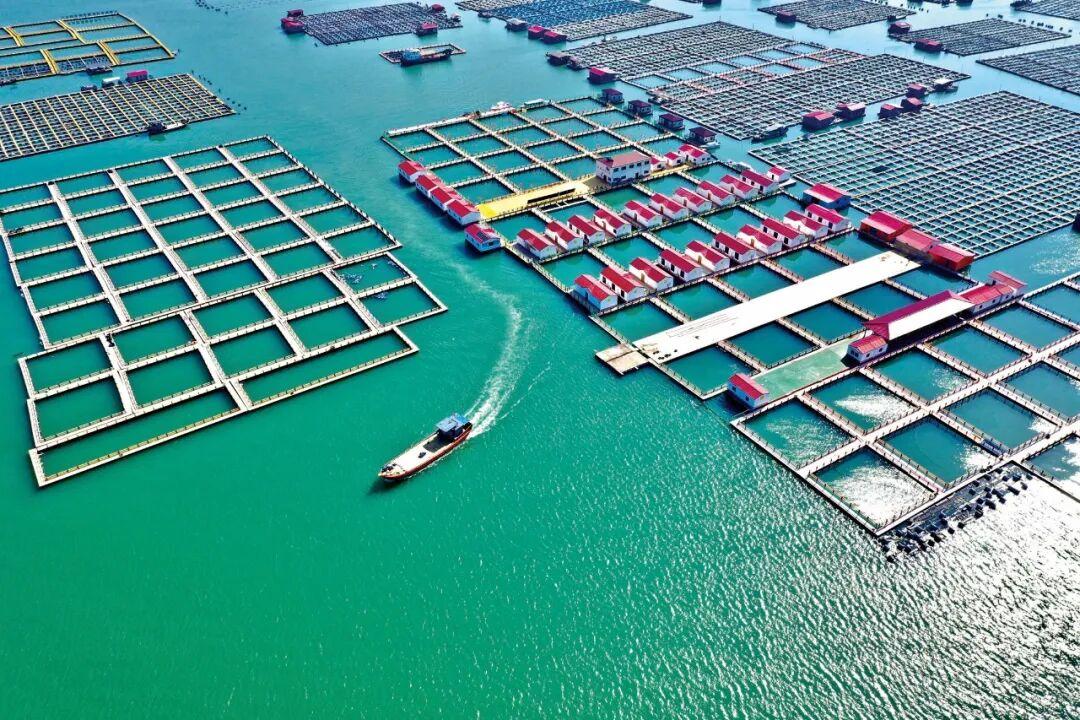 山海福建 振兴有道