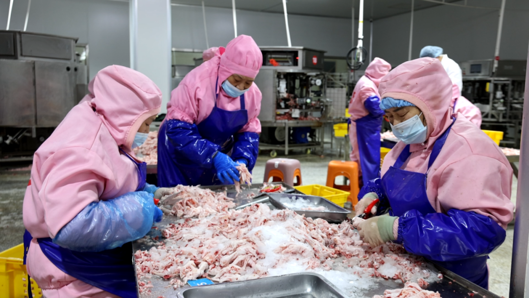 山海福建 振兴有道