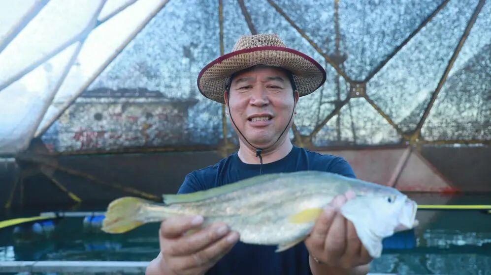 闽人智慧 | 原来，这就是全国“渔状元”的养成秘籍