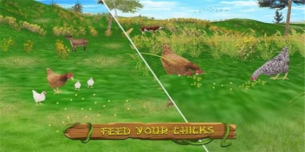 Hen Family Simulator(甜鸡模拟器)
