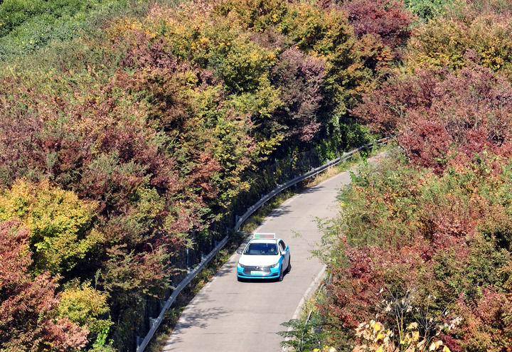 “云公交”轿车在江苏省常州市市郊道路上行驶(2025年11月10日摄,无人机照片)。常州市在部分市郊地区开行轿车“云公交”,采用预约响应模式替代传统的定时班次模式,变“等公交”为“打公交”,实现从“人等车”到“车接人”的转变,既节约乘客的等车时间,又能避免车辆空跑,方便市郊群众出行。新华社发(陈暐 摄)