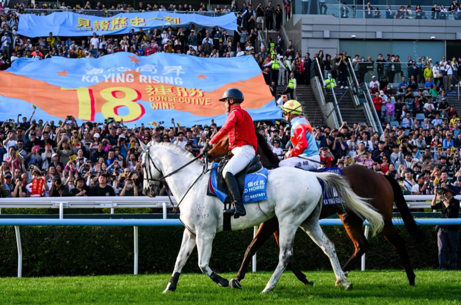 hk_c_1771768149055054933.png hk_c_image.png