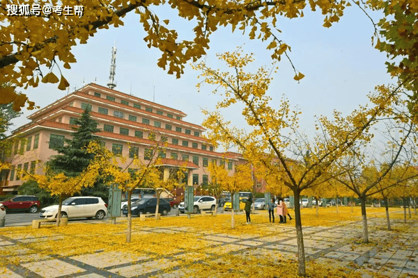 西京学院研究生考试大纲来袭，静候金秋校园与你相遇