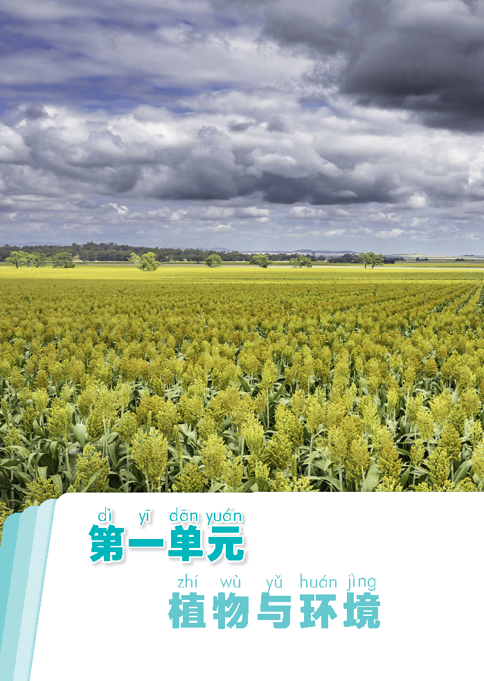 (根据2022年版课程标准修订)义务教育教科书·科学二年级上册_Page8.png