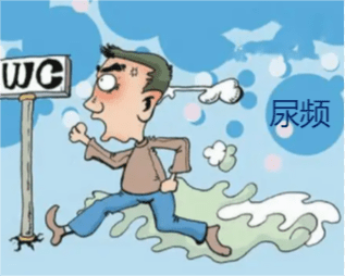 图片13455.png
