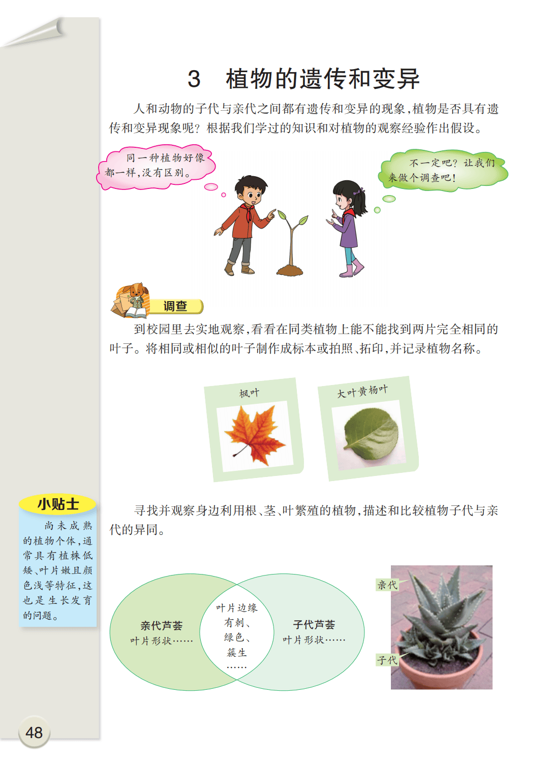 最新【大象版】6年级科学课本•上册_54.png