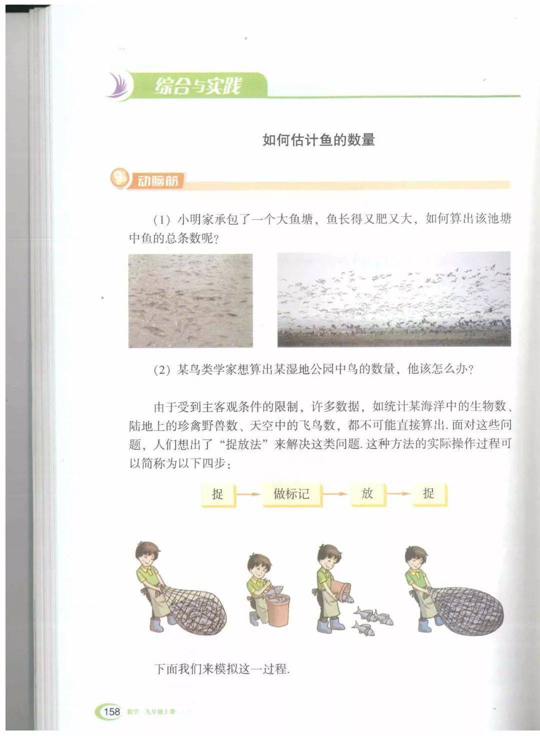 文章配图-140