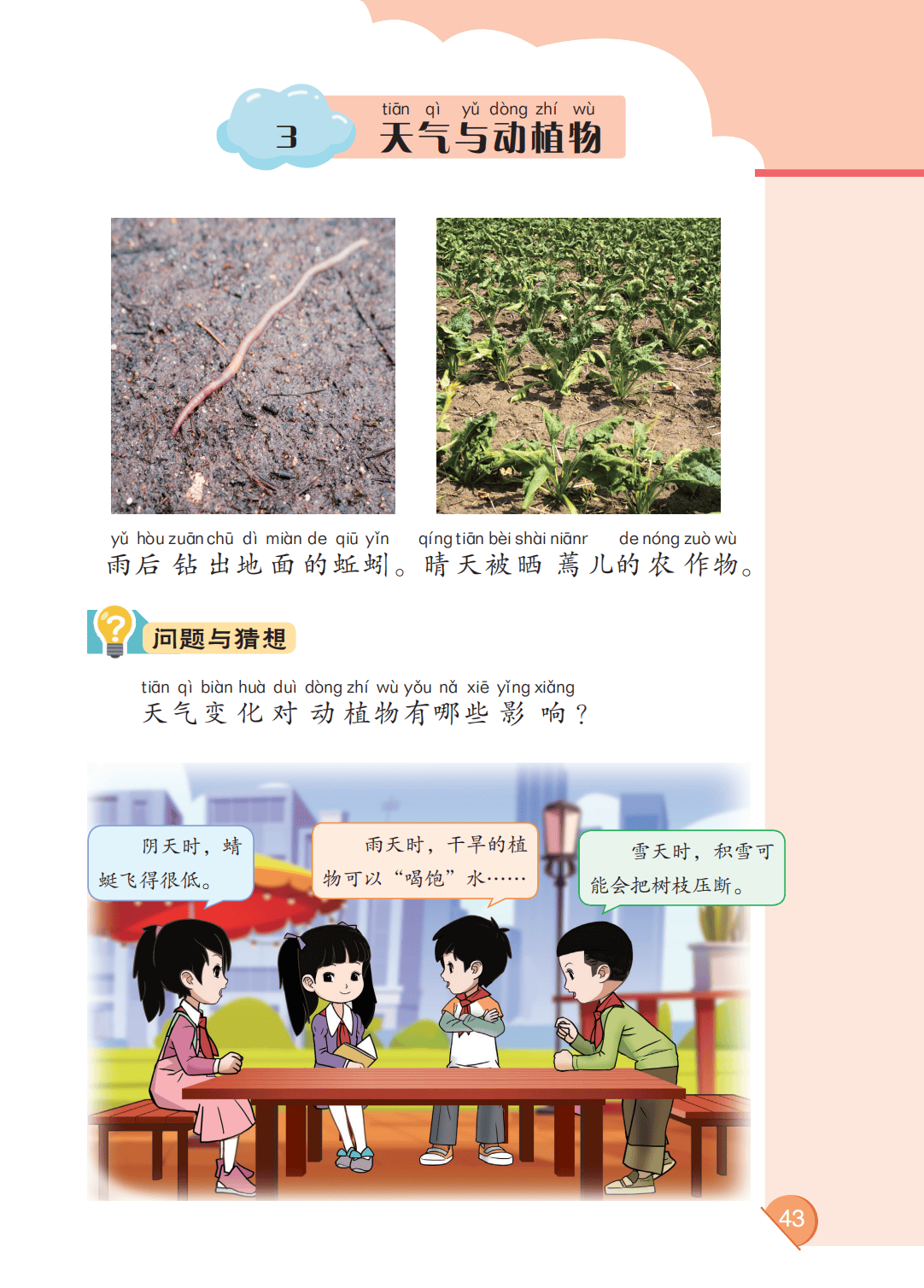 最新【大象版】2年级科学课本•上册_49.png