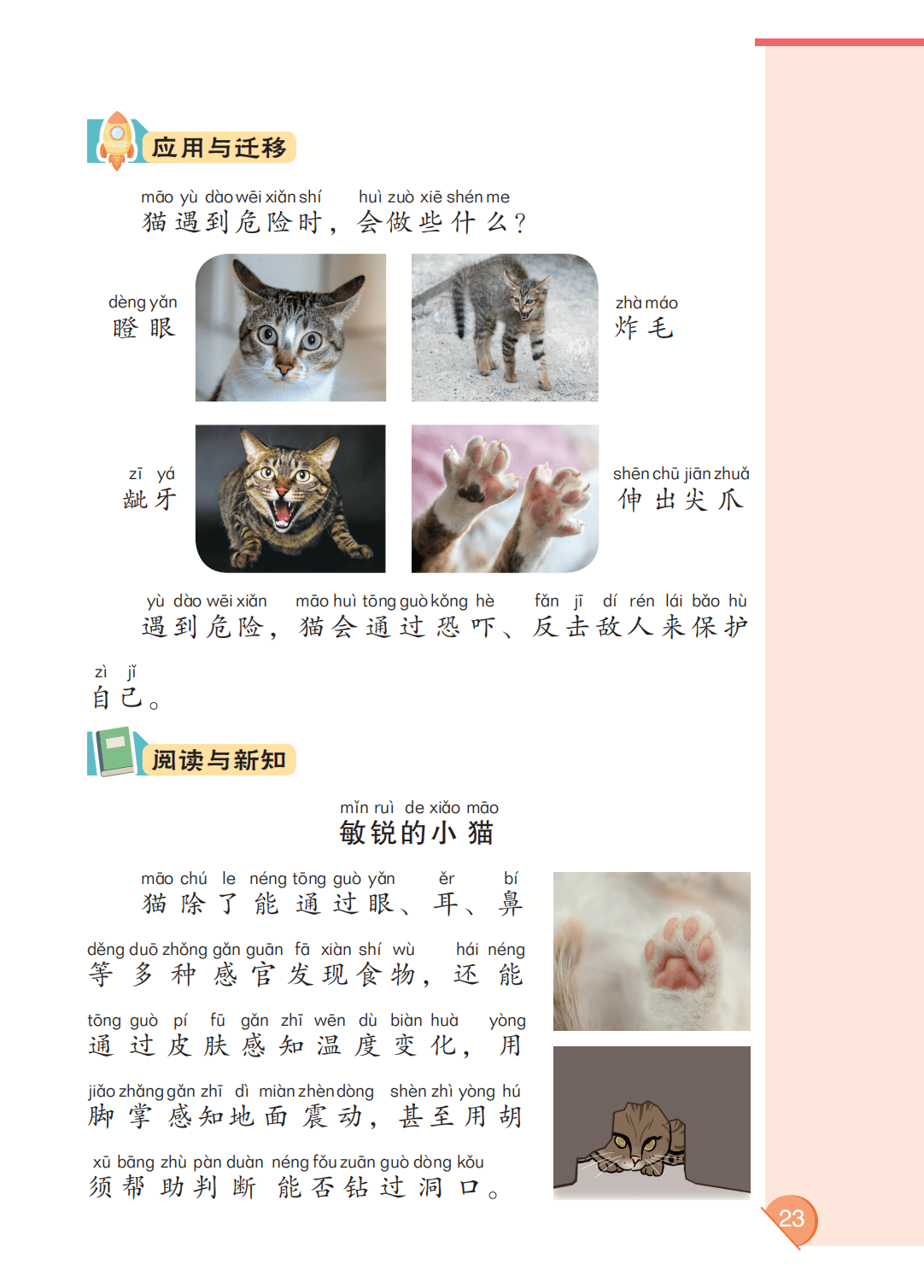 最新【大象版】2年级科学课本•上册_29.png