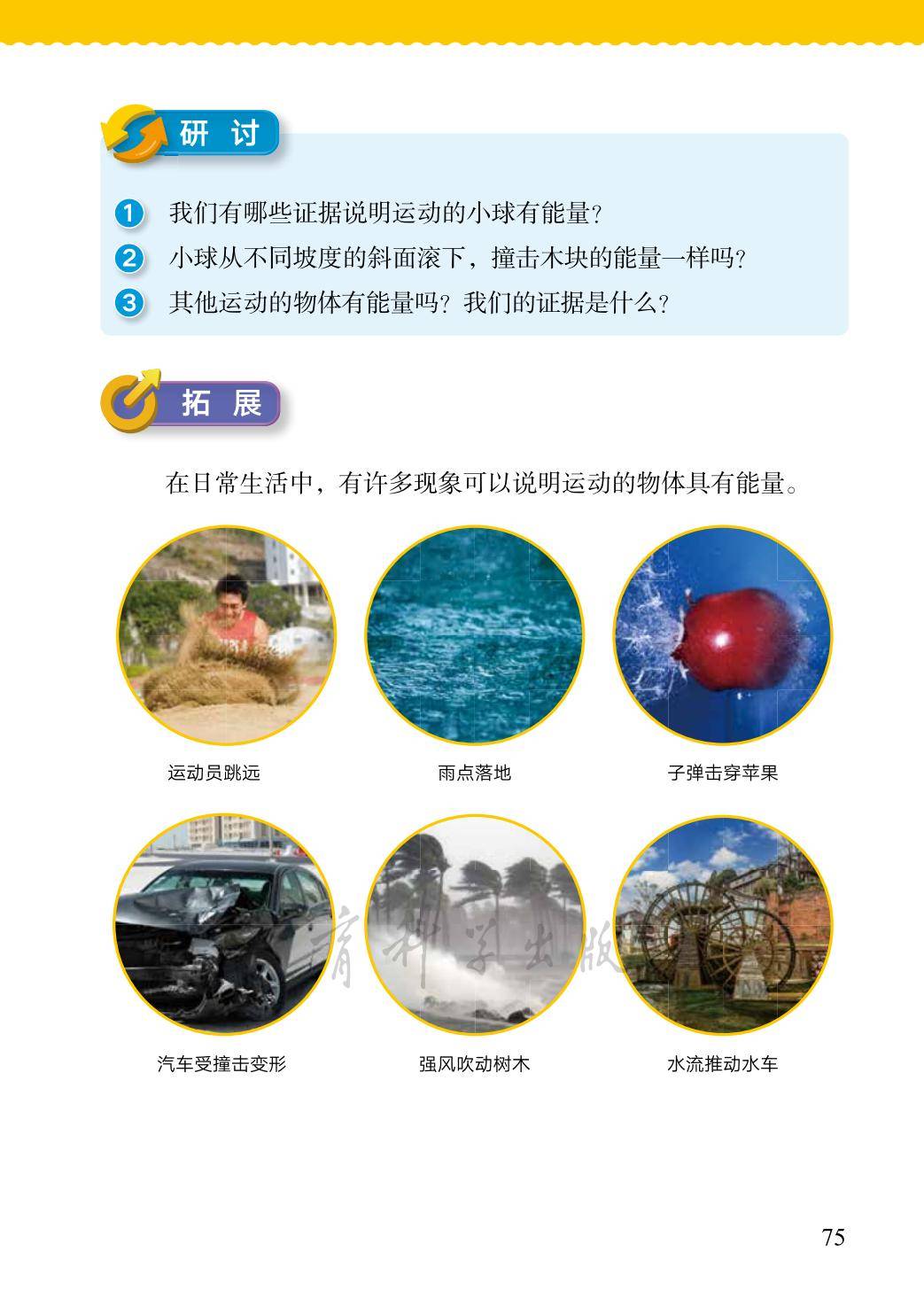3年级科学上册教科版26秋新课本-逐页转图片-00083.jpg