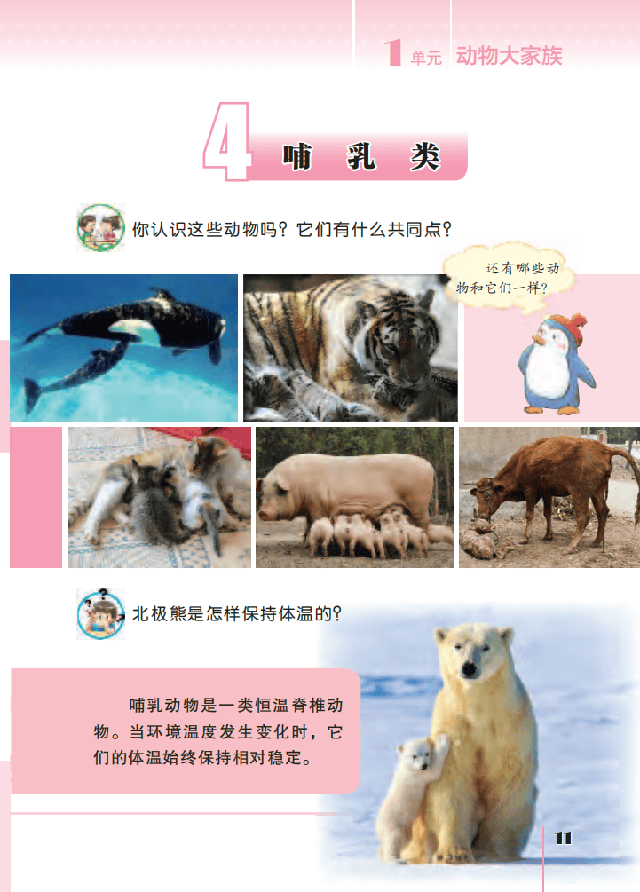 文章配图-13