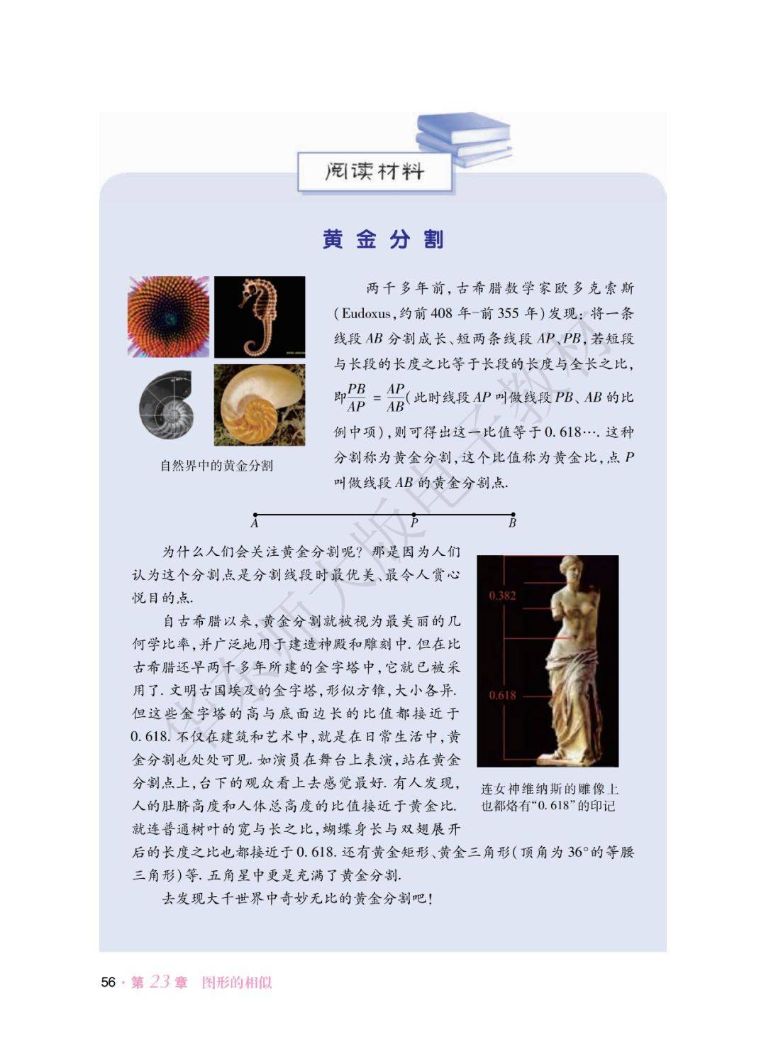 文章配图-55