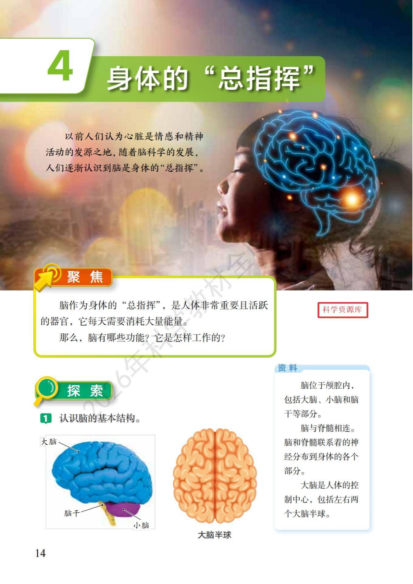 6年级科学上册教科版26秋新课本-逐页转图片-00018.jpg