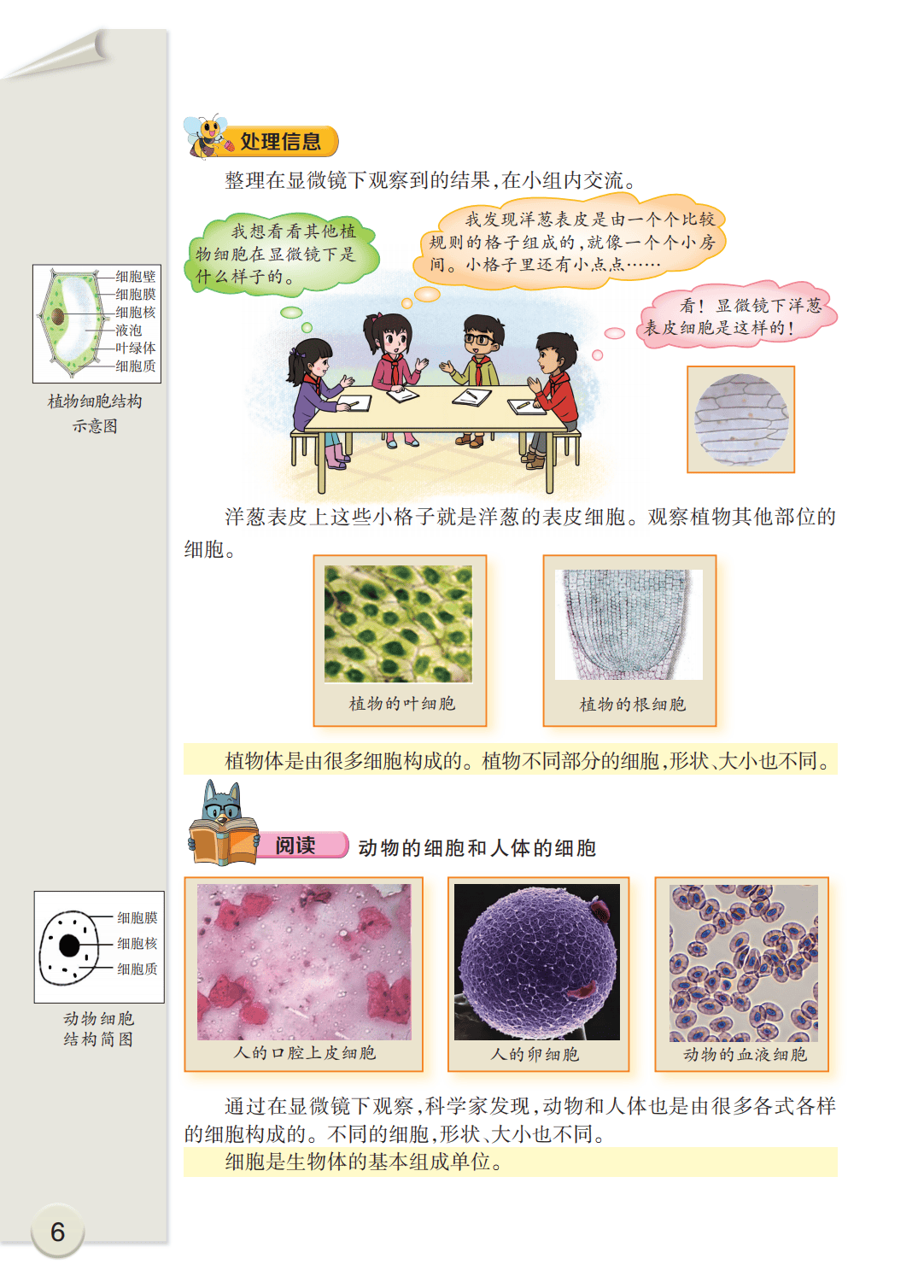 最新【大象版】6年级科学课本•上册_12.png
